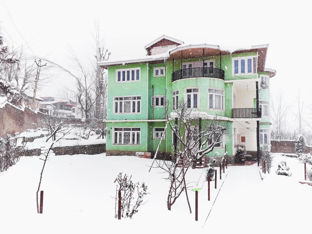Calm Holiday Inn Срінагар Екстер'єр фото